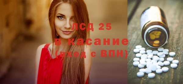 прущие грибы Алзамай
