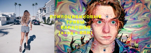 амф Абинск