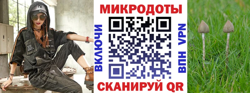 где найти   Щёлково  Псилоцибиновые грибы Cubensis 