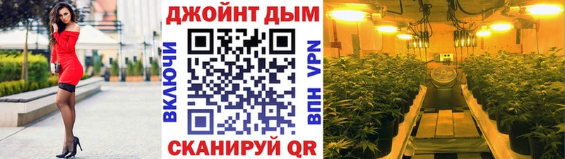 Бошки марихуана план купить закладку OMG как войти Щёлково